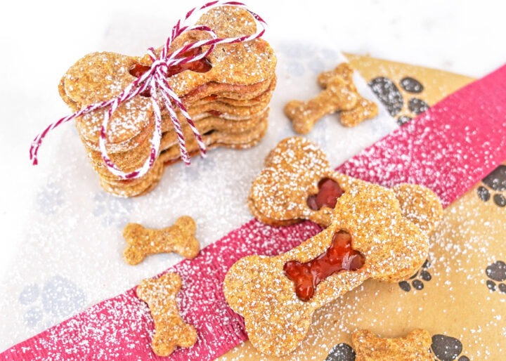 peanut butter dog treats with strawberry jelly