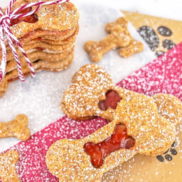 Peanut Butter and Jelly Cookies for Dogs