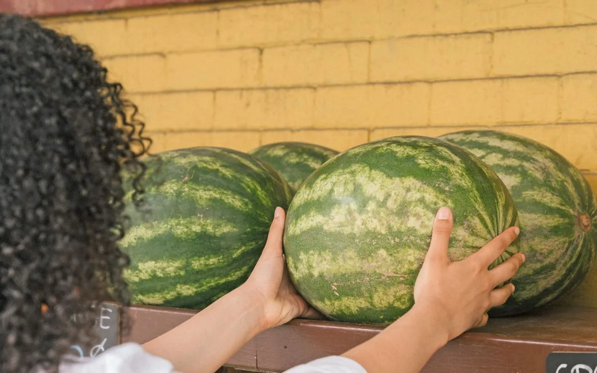 How to pick a watermelon - veining