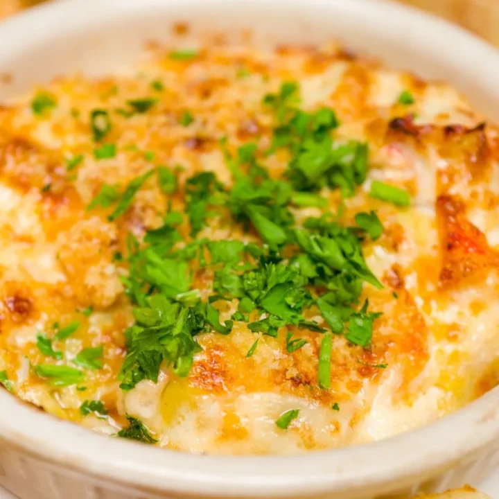 hot crab dip appetizer